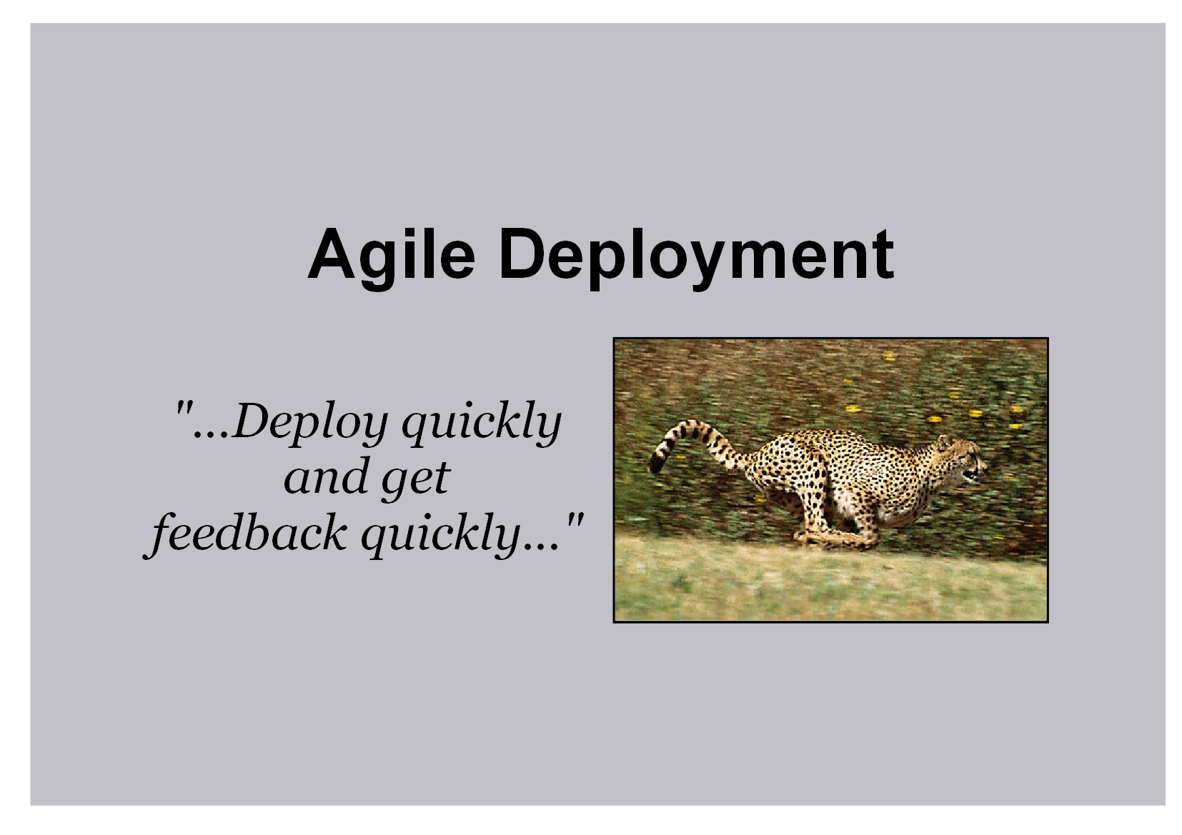 Agile Deployment 3