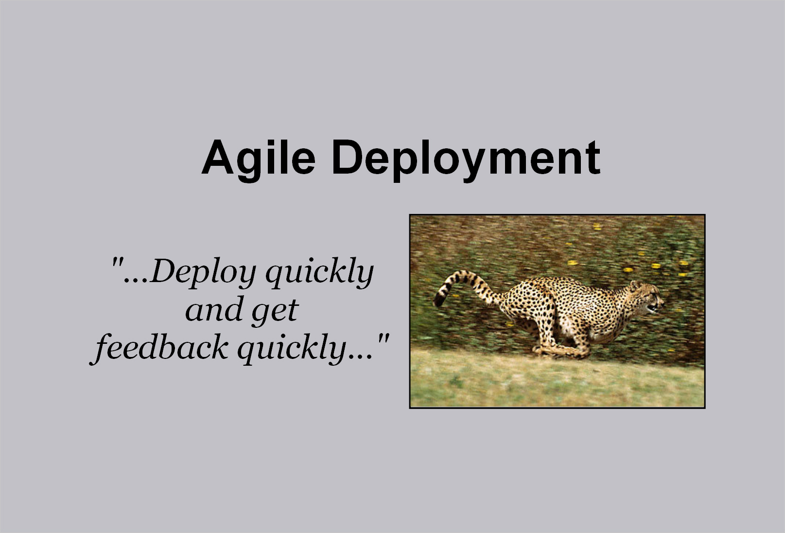 Agile Deployment 4