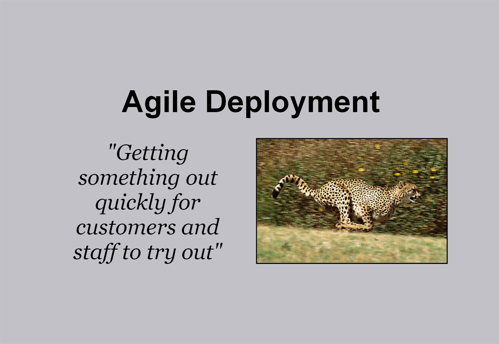 Agile Deployment
